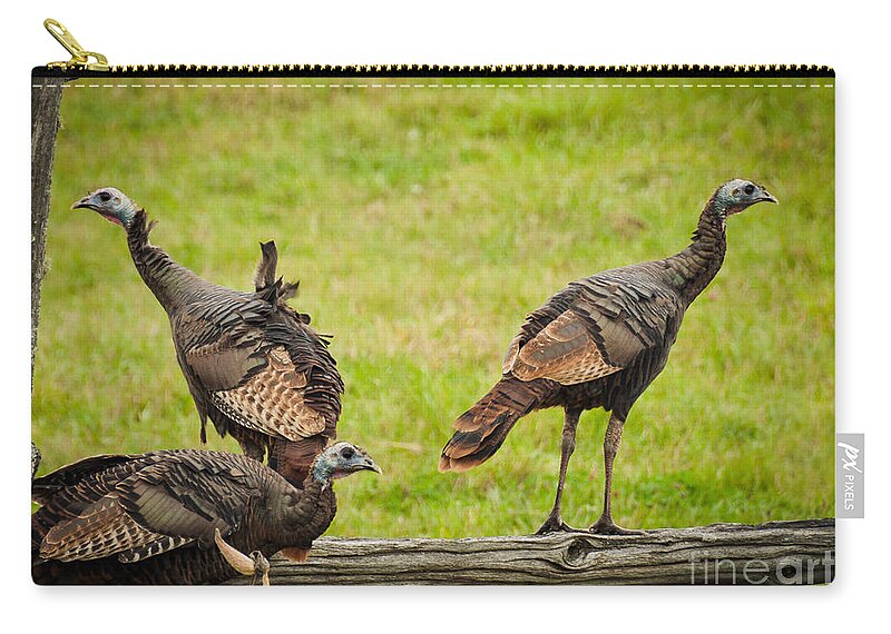 Turkeys Zip Pouch featuring the photograph Bunch of Turkeys by Cheryl Baxter