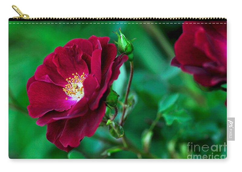 Photography Zip Pouch featuring the photograph Burgundy Iceberg Rose by Kaye Menner