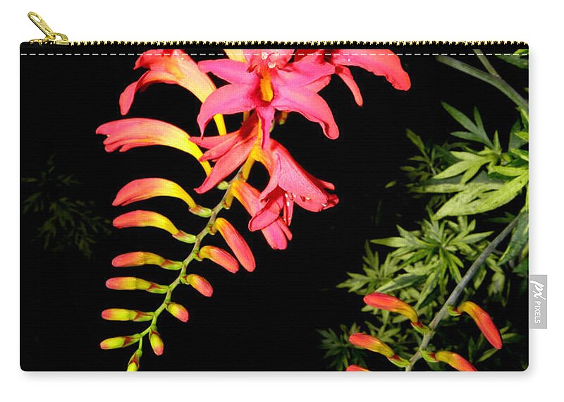 Flower Carry-all Pouch featuring the photograph Burst Of Beauty by Kim Galluzzo Wozniak
