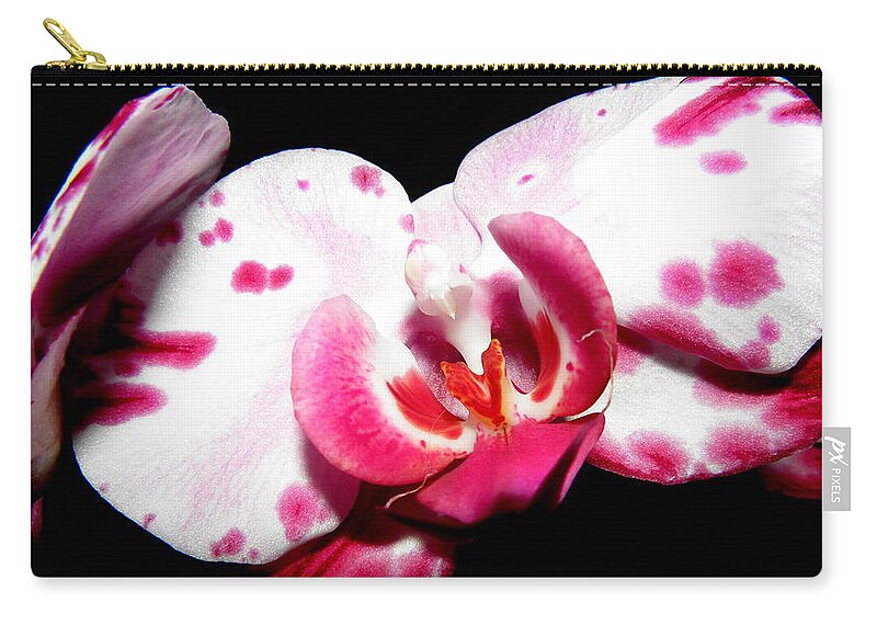 Orchid Zip Pouch featuring the photograph Bursting In Color by Kim Galluzzo