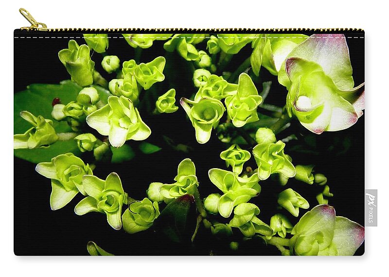 Hydrangea Carry-all Pouch featuring the photograph Bursting With Beauty by Kim Galluzzo Wozniak