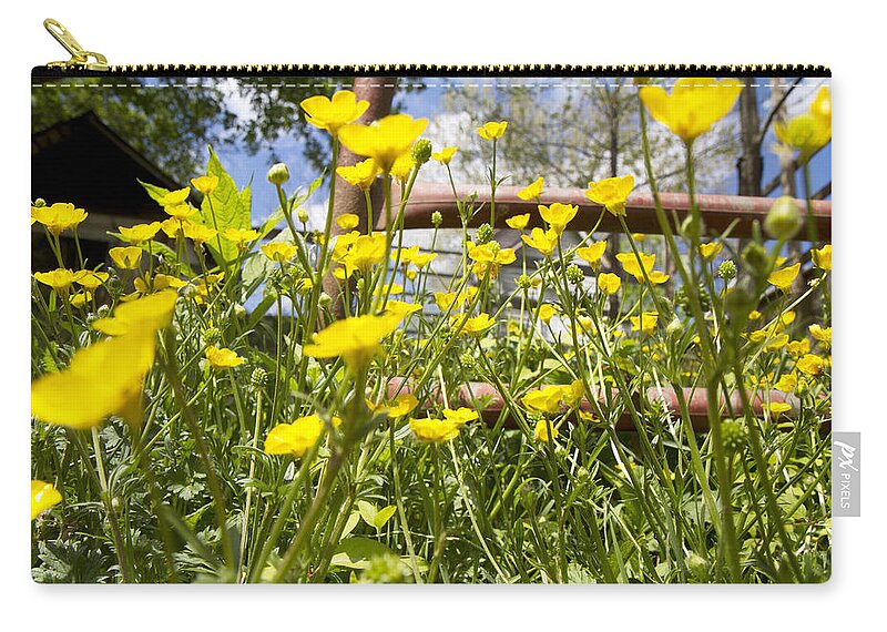 Flower Zip Pouch featuring the photograph Buttercup Paradise by Betsy Knapp