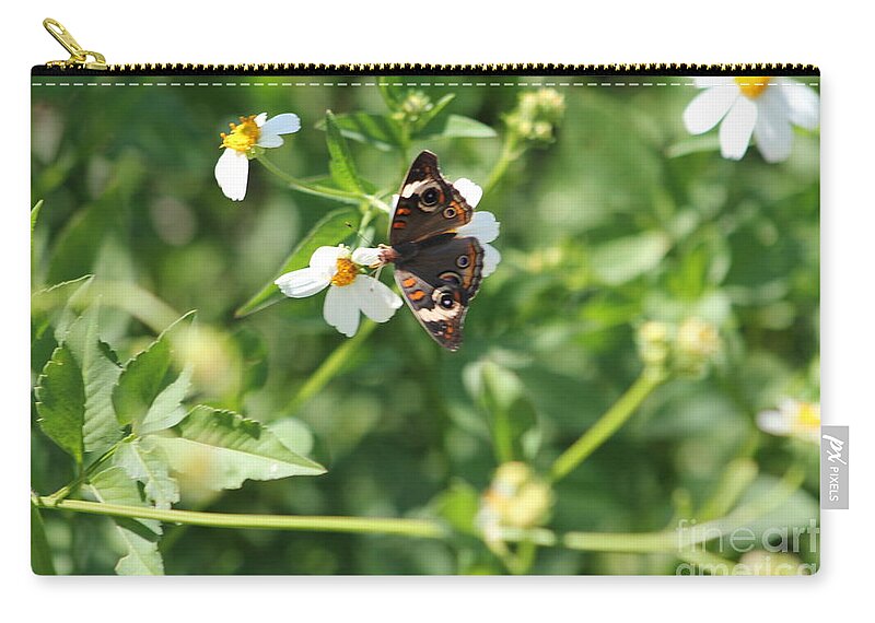 Butterfly Zip Pouch featuring the photograph Butterfly 25 by Michelle Powell