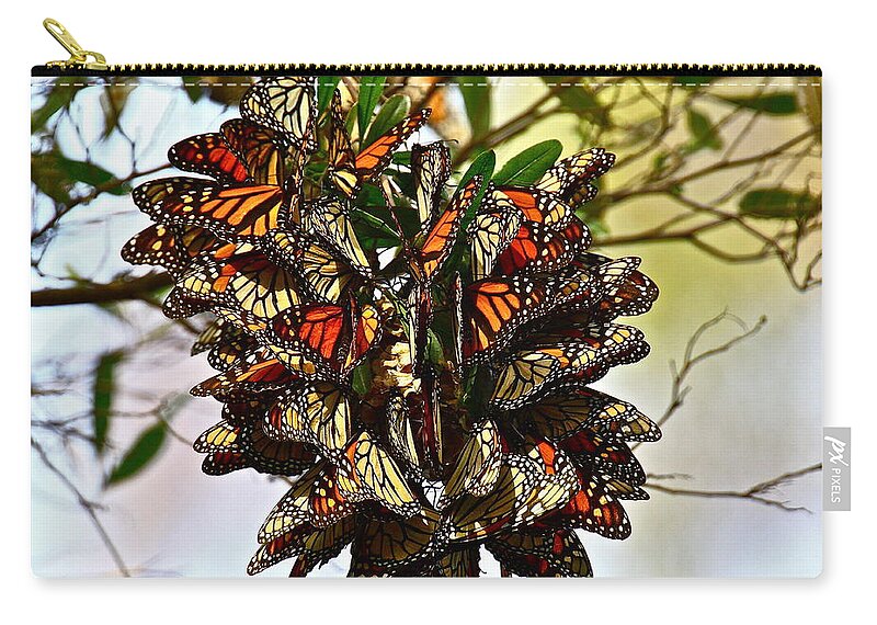Butterfly Zip Pouch featuring the photograph Butterfly Bouquet by Diana Hatcher