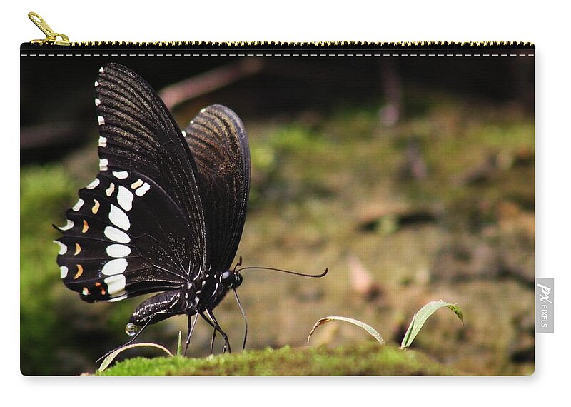 Butterfly Zip Pouch featuring the photograph Butterfly Feeding by Ramabhadran Thirupattur