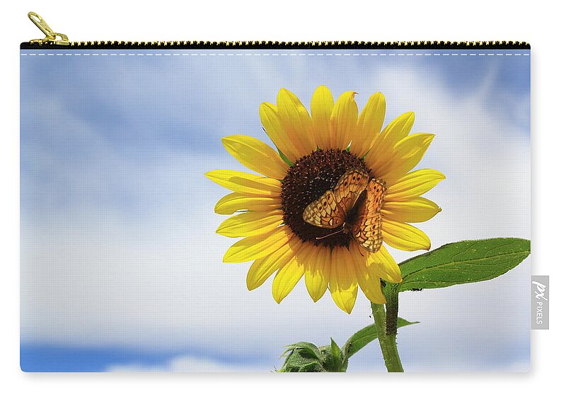 Sunflower Zip Pouch featuring the photograph Butterfly on a Sunflower by Shane Bechler
