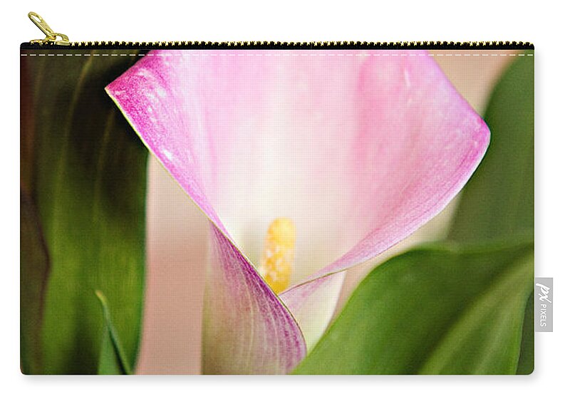 Alismatales Zip Pouch featuring the photograph Calla Lily by Lana Trussell