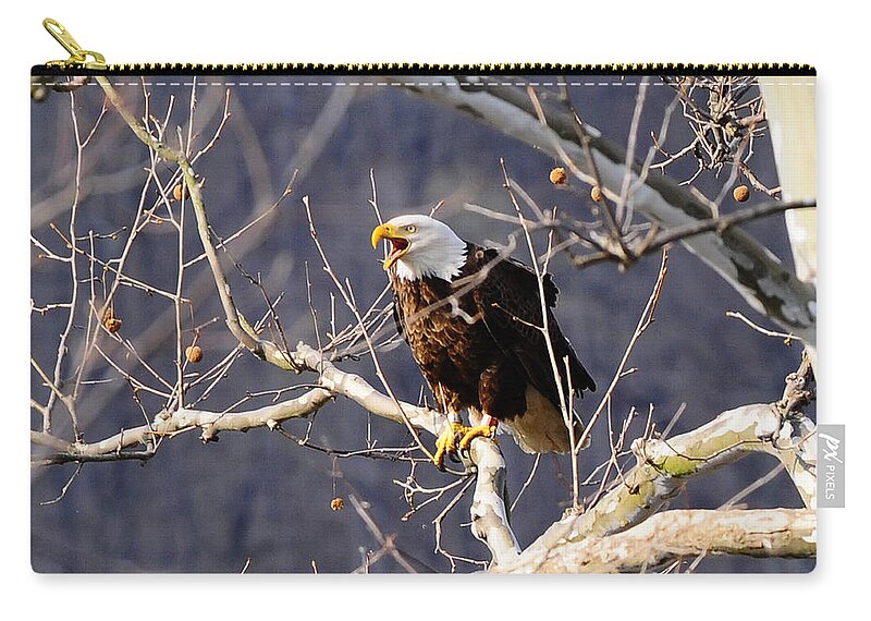Calling Eagle Zip Pouch featuring the photograph Calling for his mate by Randall Branham