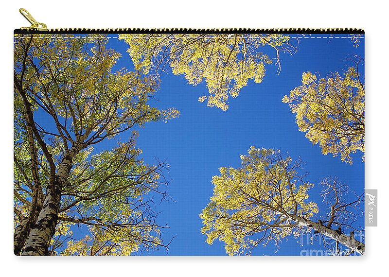 Photography Zip Pouch featuring the photograph Canopy by Vicki Pelham