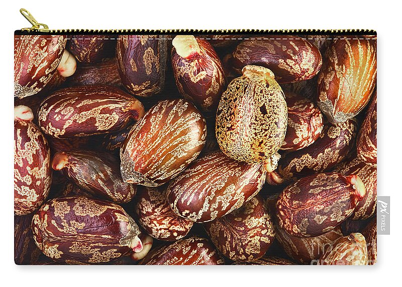 Plant Zip Pouch featuring the photograph Caster Seeds by M. I. Walker