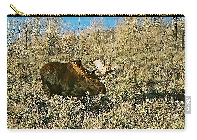 Moose Zip Pouch featuring the photograph Casting a Long Shadow by Eric Tressler