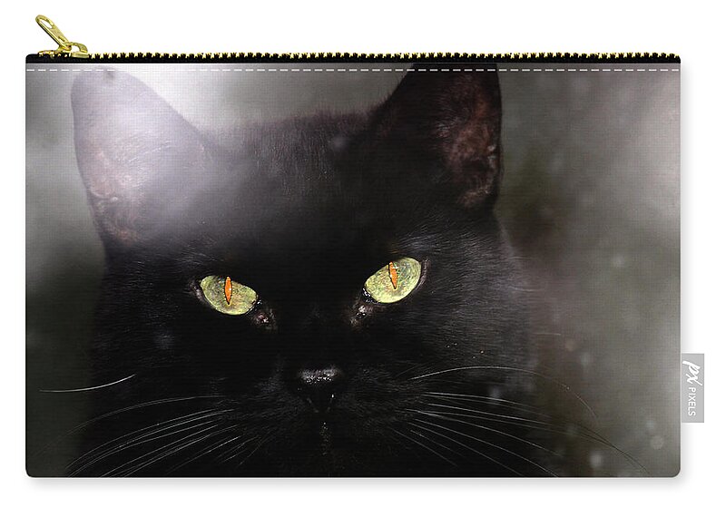 Cat Zip Pouch featuring the photograph Cat Behind A Rain Spattered Window by Marie Jamieson
