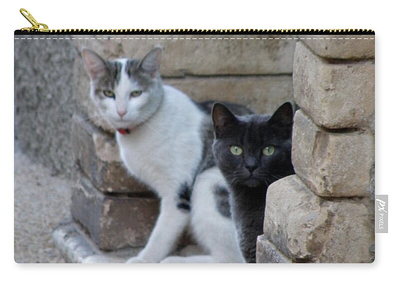 Cats Zip Pouch featuring the photograph Cat Guardians by Lainie Wrightson