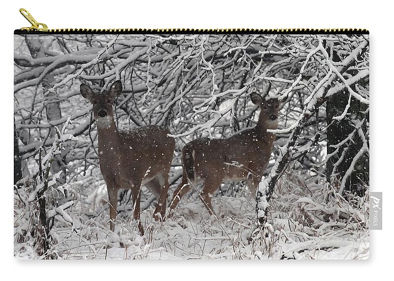 Deer Zip Pouch featuring the photograph Caught in the Snow Storm by Elizabeth Winter
