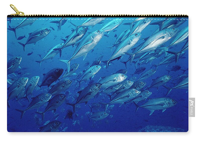 Mp Carry-all Pouch featuring the photograph Cavalla Caranx Sp School Off Of Cocos by Flip Nicklin