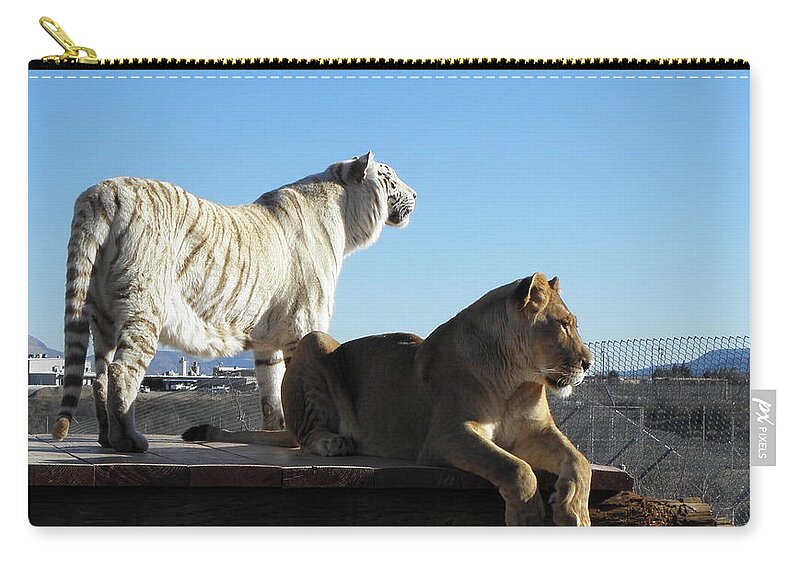 Lion Zip Pouch featuring the photograph Chalet and Kumba by Kim Galluzzo Wozniak