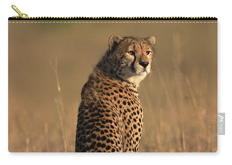 Mp Zip Pouch featuring the photograph Cheetah Acinonyx Jubatus Portrait by Gerry Ellis