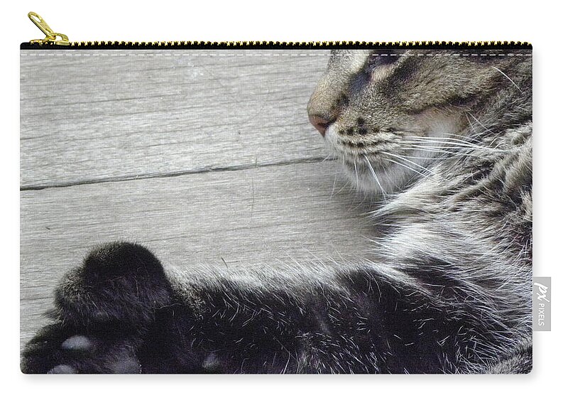 Cat Zip Pouch featuring the photograph Chillin by Kim Galluzzo