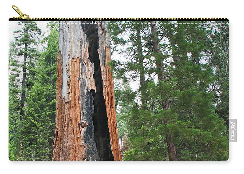 Sequoia Zip Pouch featuring the photograph Chimney Tree by Heidi Smith