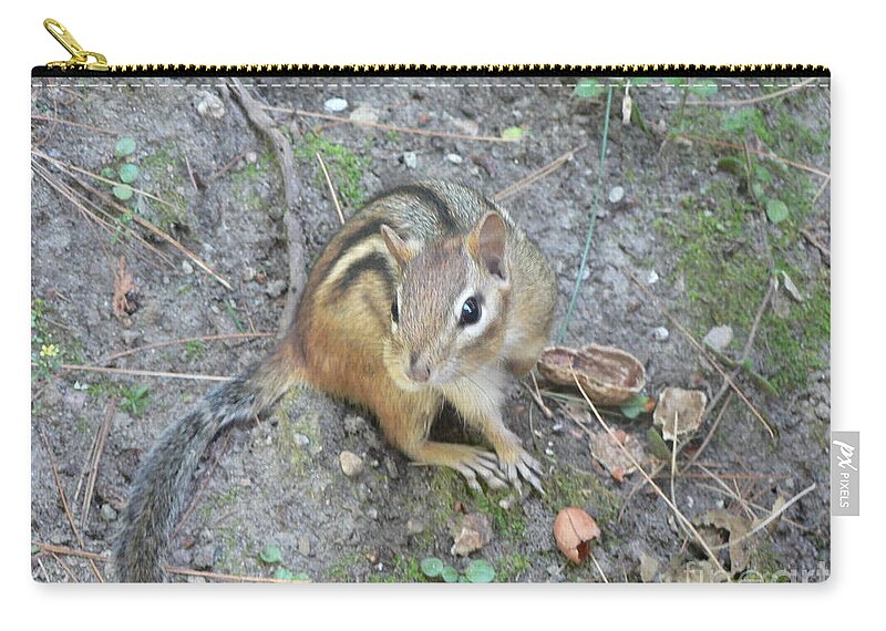 Chipmunk Carry-all Pouch featuring the photograph Chipmunk Feast by Laurel Best