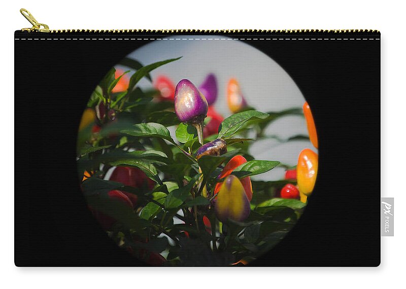 Plant Zip Pouch featuring the photograph Circle Of Life by Trish Tritz