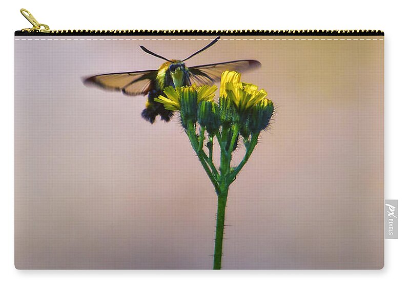 Moth Zip Pouch featuring the photograph Clearwing Hummingbird Moth by Bill and Linda Tiepelman