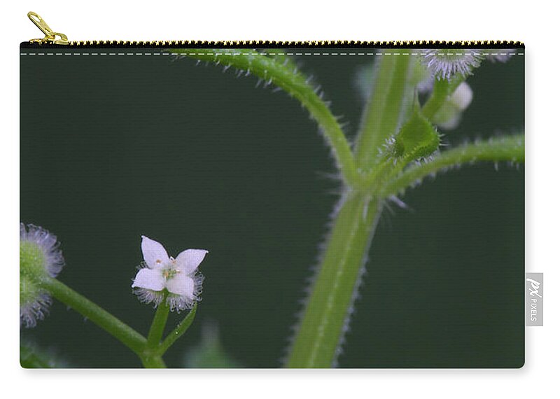 Cleavers Zip Pouch featuring the photograph Cleavers by Daniel Reed