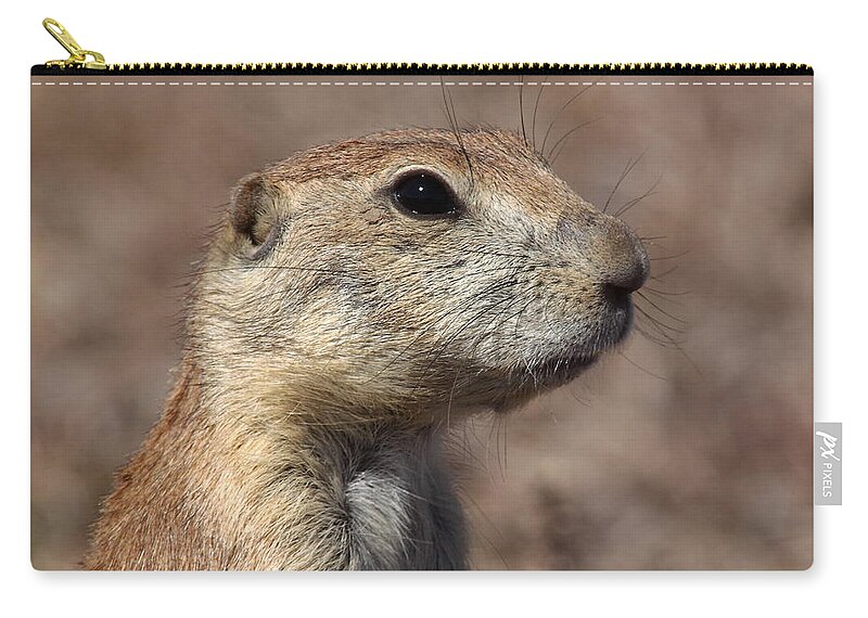 Nature Zip Pouch featuring the photograph Close On Prairie Dog by Robert Frederick
