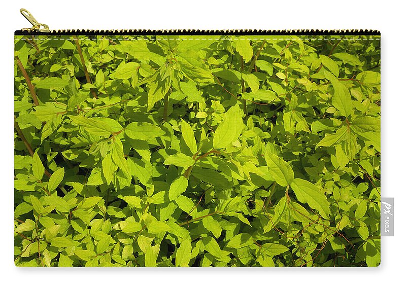 Light Green Carry-all Pouch featuring the photograph Clusters Of Leaves by Kim Galluzzo Wozniak