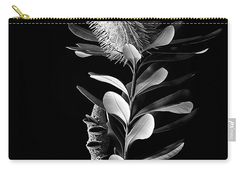Flower Zip Pouch featuring the photograph Coast Banksia in Black and White by Endre Balogh