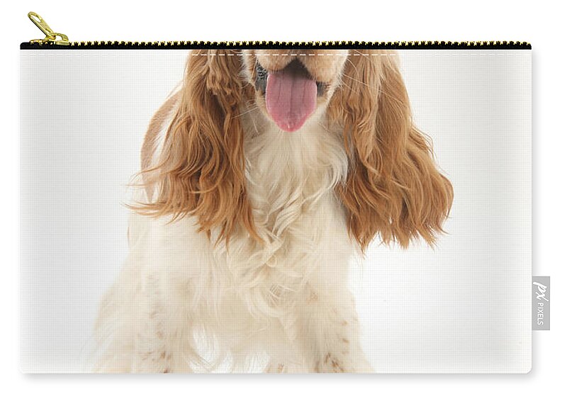 Dog Zip Pouch featuring the photograph Cocker Spaniel by Mark Taylor