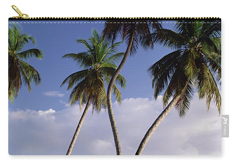 Mp Zip Pouch featuring the photograph Coconut Palm Cocos Nucifera Trees by Konrad Wothe