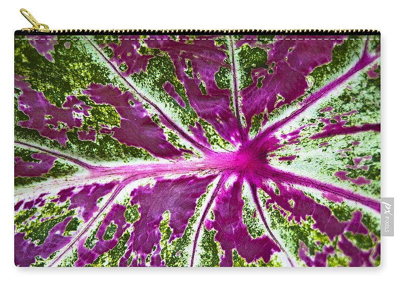 Coleus Zip Pouch featuring the photograph Coleus Leaf by Carolyn Marshall