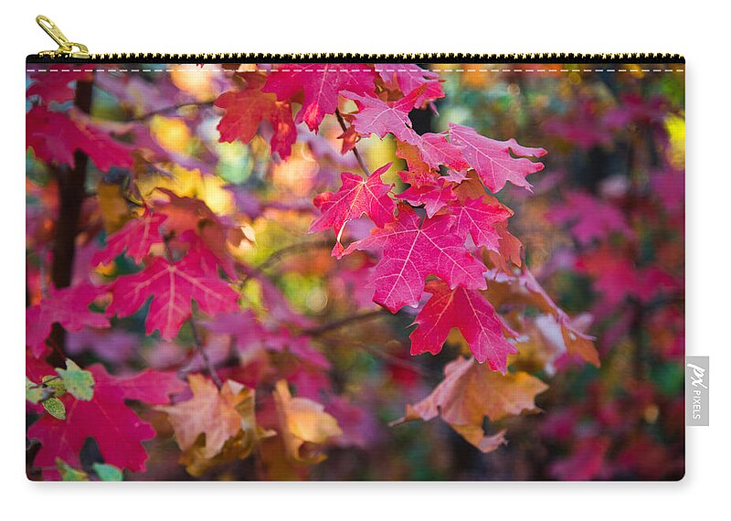 Nature Carry-all Pouch featuring the photograph Color by Chad Dutson
