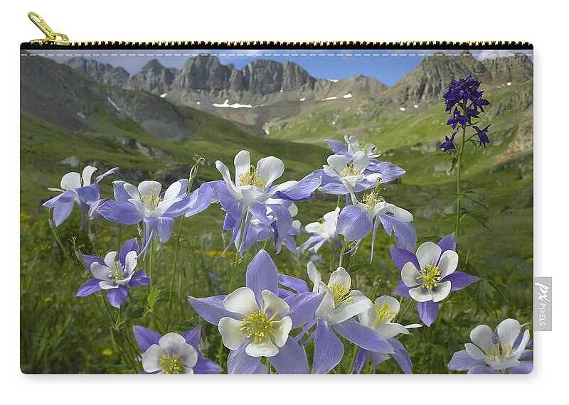 00176789 Zip Pouch featuring the photograph Colorado Blue Columbine Meadow by Tim Fitzharris