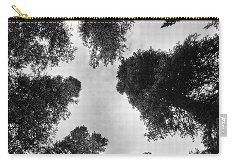 'brainard Lake' Zip Pouch featuring the photograph Colorado Rocky Mountain Forest Sky BW by James BO Insogna