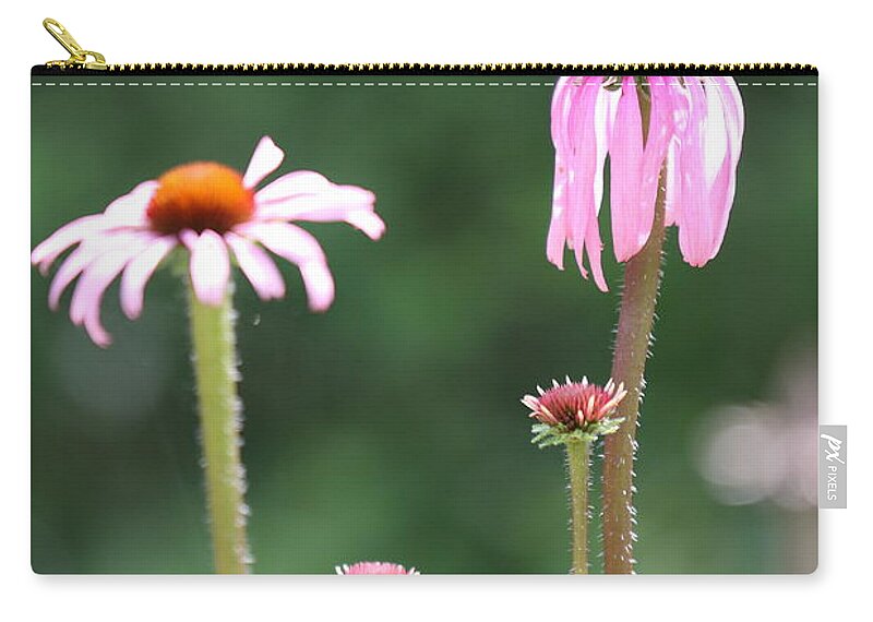 Butterfly Zip Pouch featuring the photograph Coneflowers And Butterfly by Daniel Reed