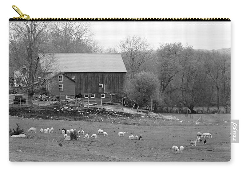 Spring Lambs Zip Pouch featuring the photograph Connecticut Sheep Farm by Kim Galluzzo