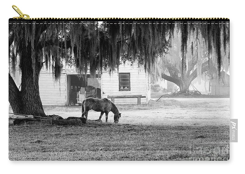 Horse Zip Pouch featuring the photograph Coosaw - Grazing Free by Scott Hansen