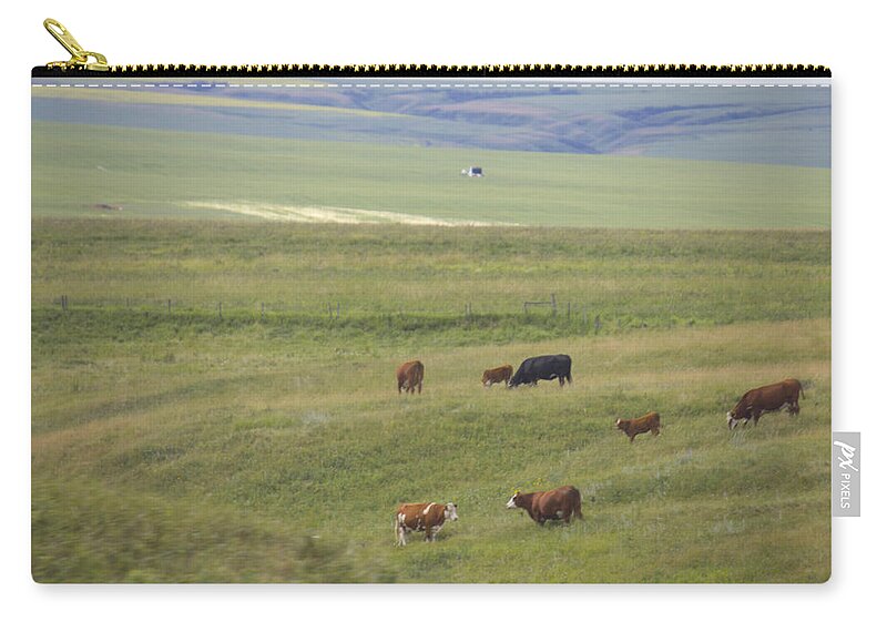 Landscape Zip Pouch featuring the photograph Cow Herds and Country by Donna L Munro