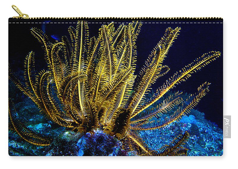 Glowing Crinoid Zip Pouch featuring the photograph Glowing Crinoid by Jean Noren