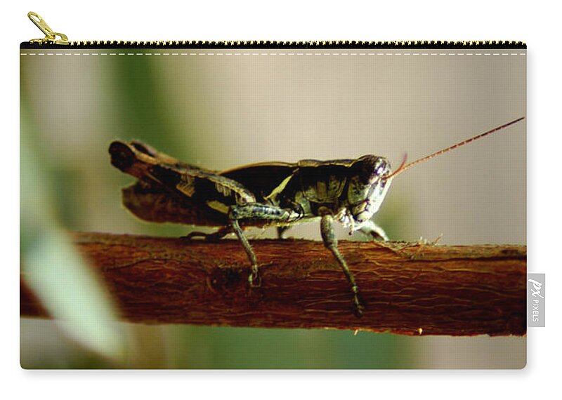 Grasshopper Zip Pouch featuring the photograph Crossing The Ravine by David Weeks