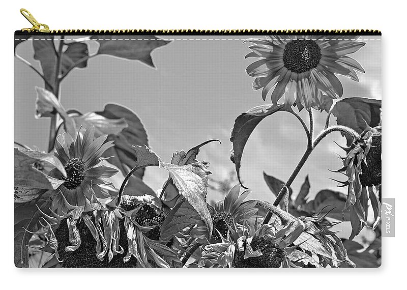 Birth Zip Pouch featuring the photograph Cycle of Life by Tikvah's Hope