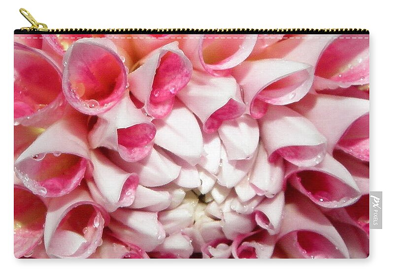 Dahlia Zip Pouch featuring the photograph Dahlia by night closeup and personal by Kim Galluzzo