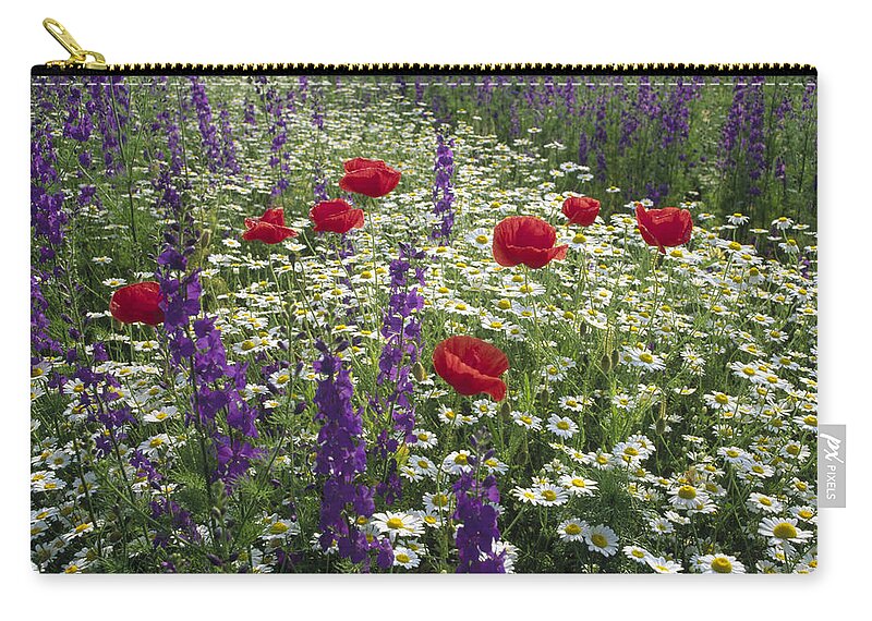 00193677 Zip Pouch featuring the photograph Daisies Delphinium and Poppies by Konrad Wothe