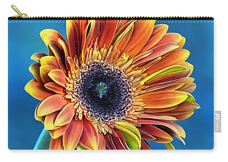Gerber Daisy Carry-all Pouch featuring the photograph Daisy Dialation by Bill and Linda Tiepelman