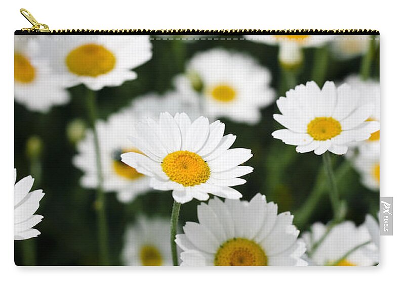 Daisy Carry-all Pouch featuring the photograph Daisies in a field by Simon Bratt