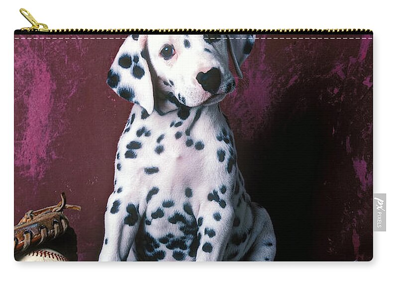 Dalmatian Puppies Zip Pouch featuring the photograph Dalmatian puppy with baseball by Garry Gay