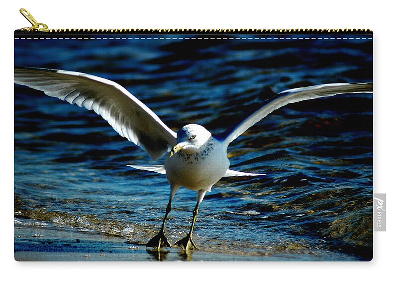 Seagull Zip Pouch featuring the photograph Dance Move by David Weeks