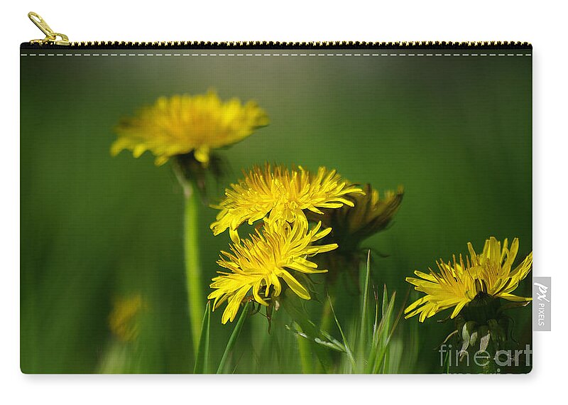 Photograph Zip Pouch featuring the photograph Dandelion Magic by Vicki Pelham